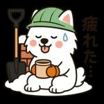 サモエドとぬくぬく日和