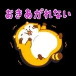 まんまるラスカル☆ヘルシーになろう