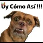 Uy Cómo Así !!!