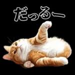 生成失敗猫【毒舌・煽り・煽る・シュール】
