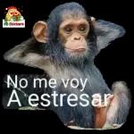 YO TE AMO MUCHO