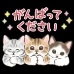 ふんわり可愛い☆猫たちのスタンプ