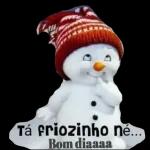 Meme Brasileiro 12093