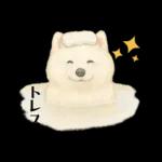 もふもふ【愛されサモエド】