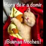 Hora de ir a dormir, ¡Buenas Noches!
