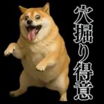 ガンギマリの柴犬＠エロ・日常会話