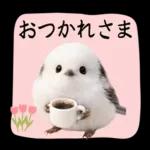 とってもかわいい♡シマエナガちゃん