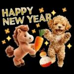 午年2026年！プードルとうまの年末年始