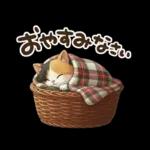 三毛猫の冬のあいさつ