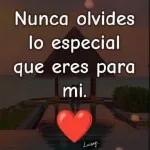 Nunca olvides lo especial que eres para mi.