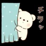 冬のもこもこくまさん(お正月とクリスマス)