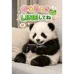 飛び出す♡パンダの家族連絡