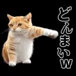 生成失敗猫【毒舌・煽り・煽る・シュール】