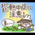 毎日使える❤️ほんわかスタンプ4【夏】