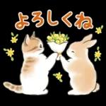 ふんわり可愛い☆猫たちのスタンプ