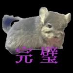 ふらんねるスタンプ【日常】