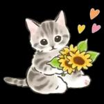 夏の毎日☆猫たちのスタンプ２