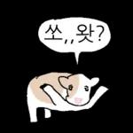 호기심 많은 소