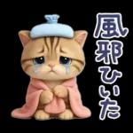 ねこちぃず♡ぐったり涙といたわり