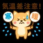 あったか柴犬の冬ごあいさつ