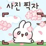 봄봄봄 ~ 봄이 왔어요