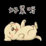 小拉拉 實用日常