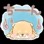 初夏❤️いやしばいぬ❤️16/柴犬