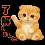 ハロウィンにゃん！