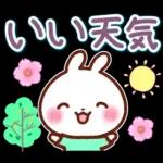 うさぎさん やさしい春の気づかい