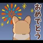 コーギーにとっての雨季と初夏