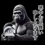 【冬】イケメンゴリラ