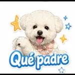 Puro Amor Tú y Yo
