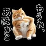 生成失敗猫【毒舌・煽り・煽る・シュール】