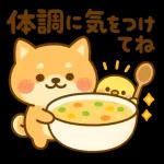 あったか柴犬の冬ごあいさつ