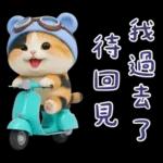 可愛小花貓超能幹的啦❤