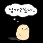 겨울철 부실감자 냉해주의