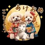 午年2026年！プードルとうまの年末年始