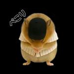 【新】リアル野球ハムスター
