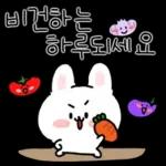 채식하는 토끼,비건이