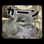 ふらんねるスタンプ【日常】