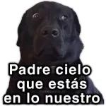 Padre cielo que estás en lo nuestro