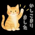 猫がいっぱい♡ふんわり可愛い秋＆冬