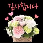꽃으로 전하는 마음, 감사톡