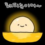 겨울철 부실감자 냉해주의