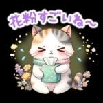 猫のつめあわせ⑤【春】