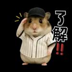 【新】リアル野球ハムスター