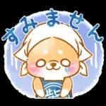 和菓子で敬語❤️いやしばいぬ❤️柴犬