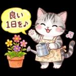 ずっと使える♪猫たちの日常