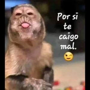 Por si te caigo mal. - getsticker.com