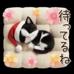 可愛いハチワレ猫 サンタ帽 冬 気づかい